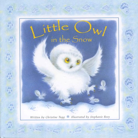 Little Owl in the Snow