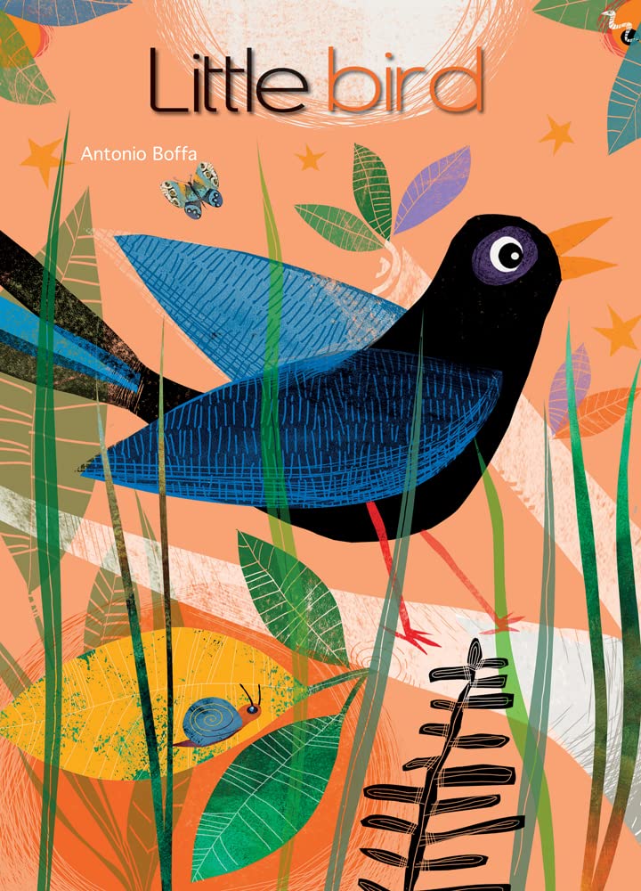 Little Bird (Lift-the-Flap)