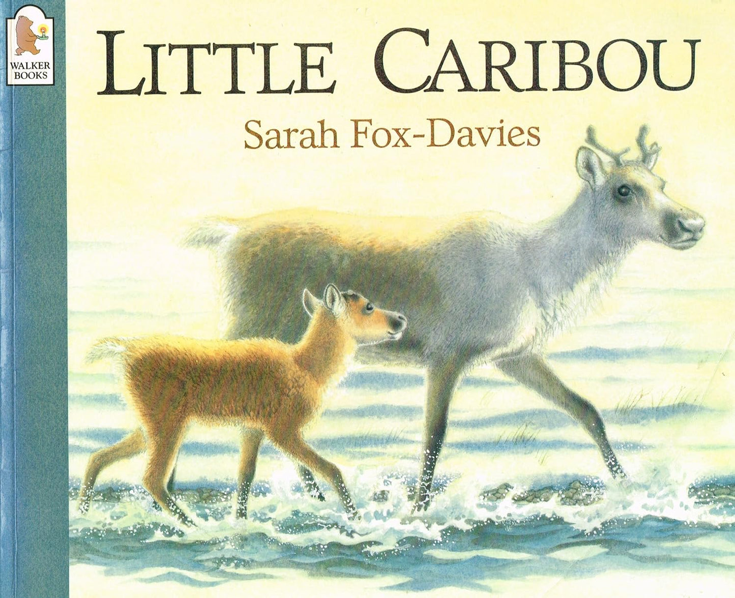 Little Caribou