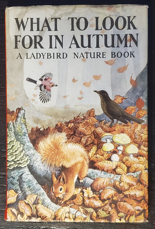 What to Look for in Autumn [A Ladybird Nature Book]