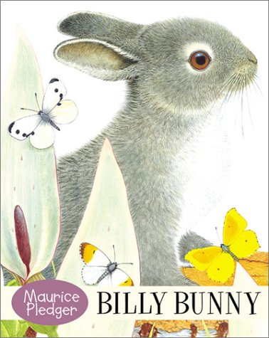 Billy Bunny
